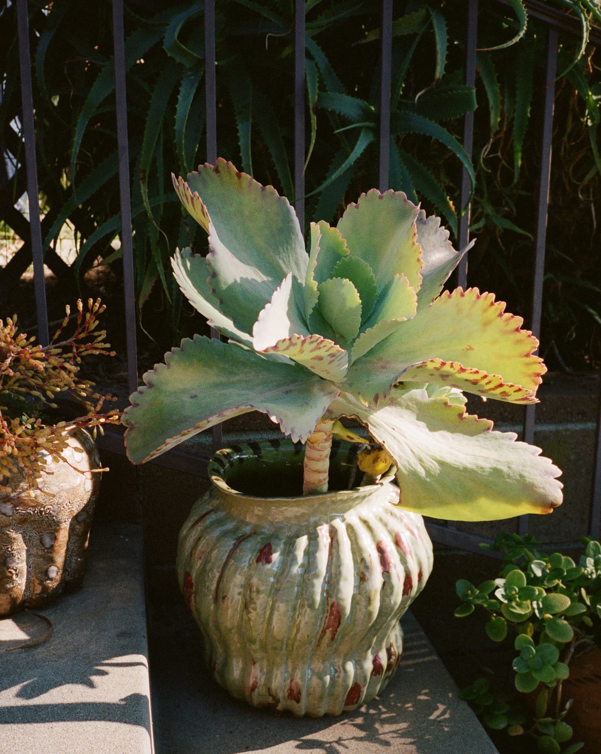 B0EF74EE-F842-490A-A8EB-1092D8E716E8