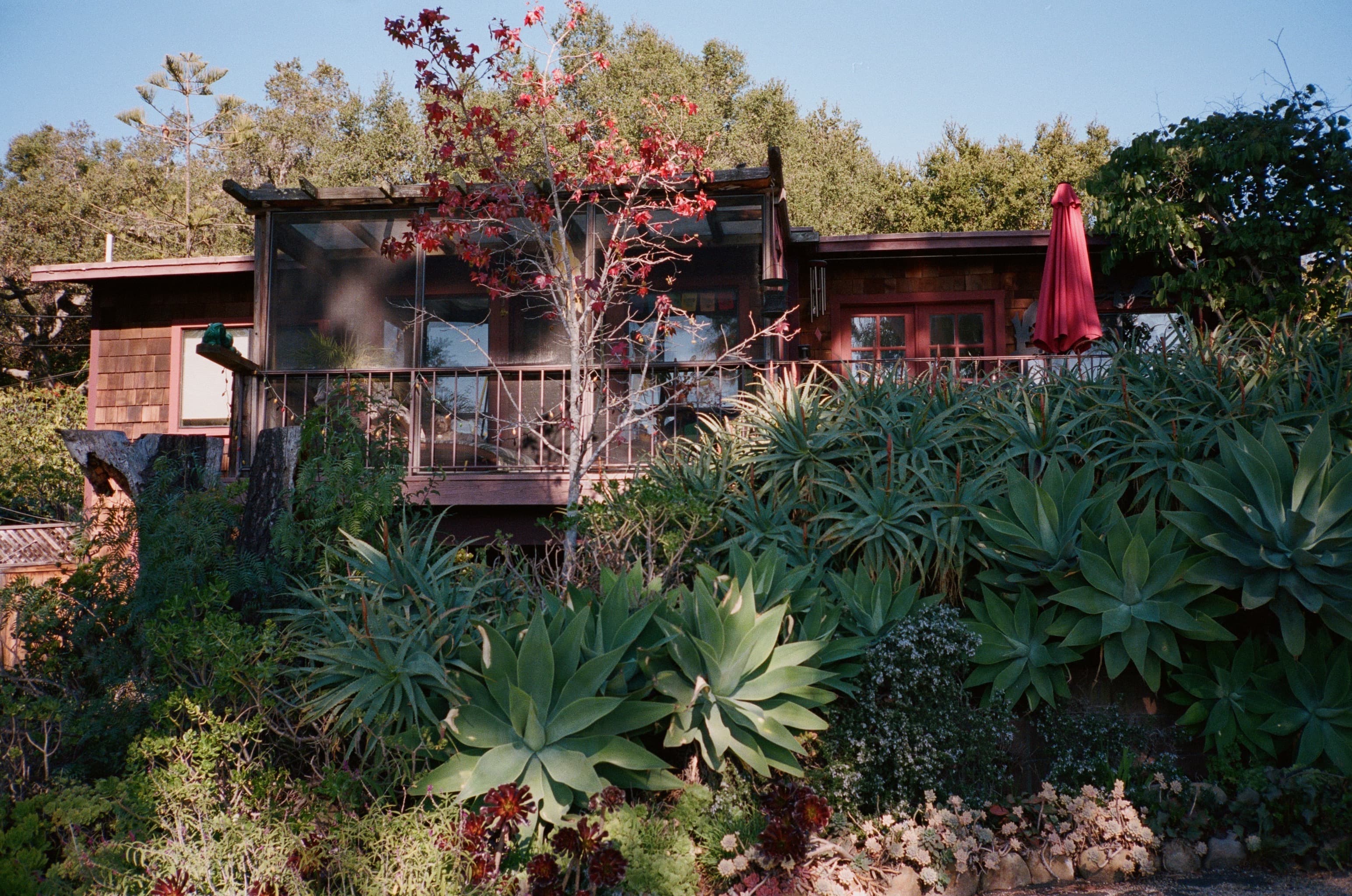 E24779B8-66A4-4E75-8BF6-BE3947C5B462