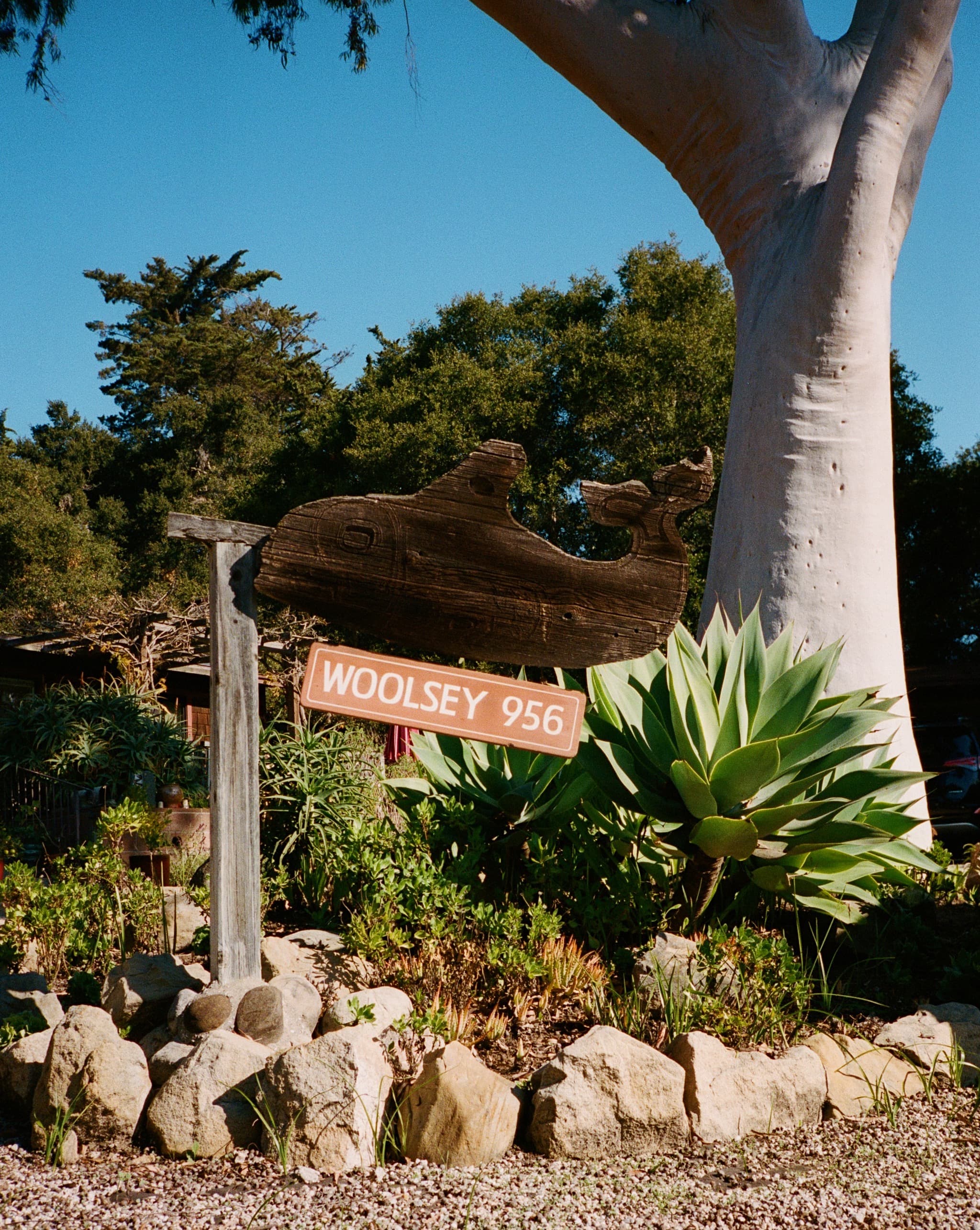 3AD36921-C8FC-48F6-BDAB-AD65241EAAA8