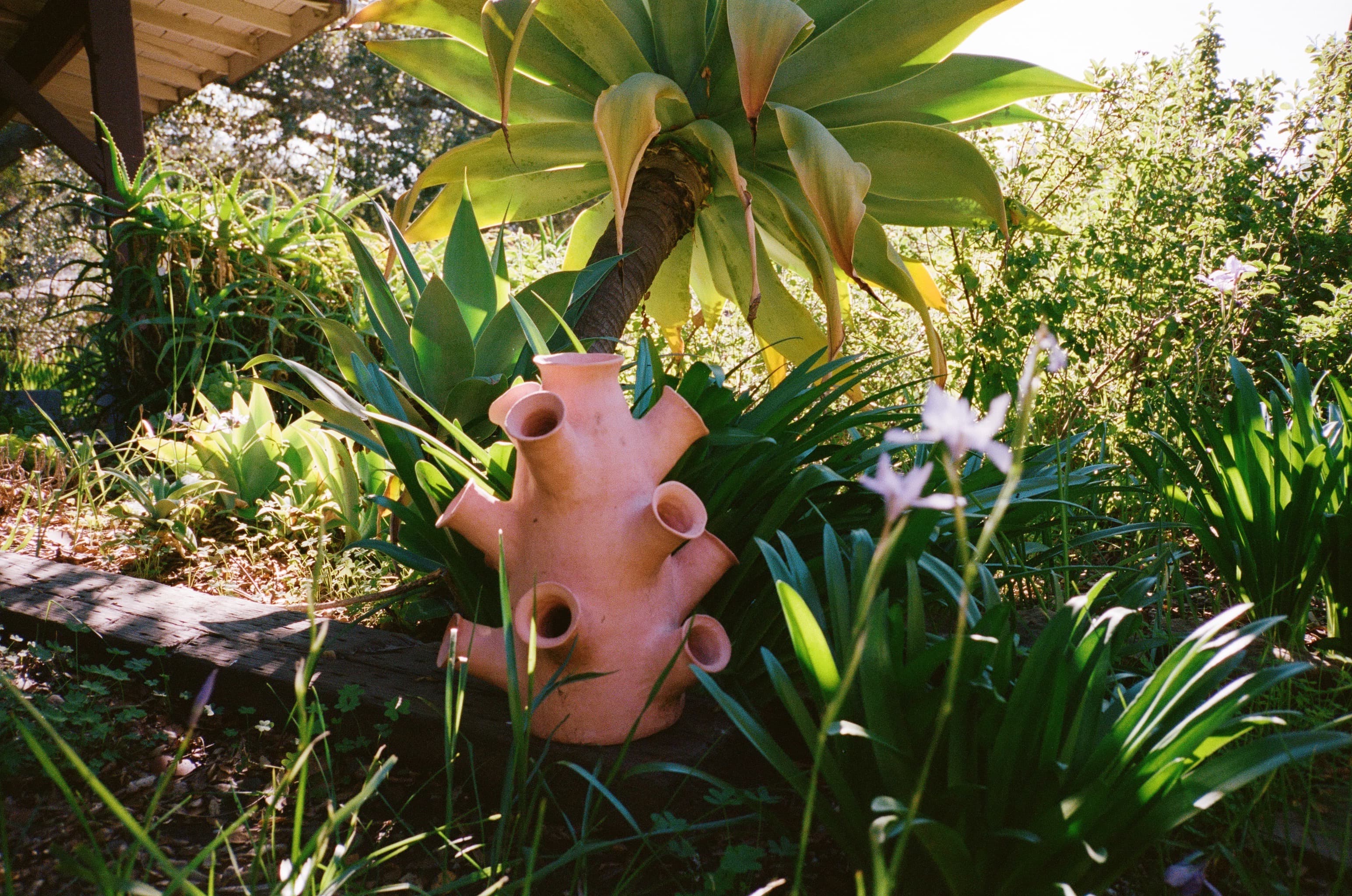 CF2C22DA-F528-47CD-946E-DD1770F0F953